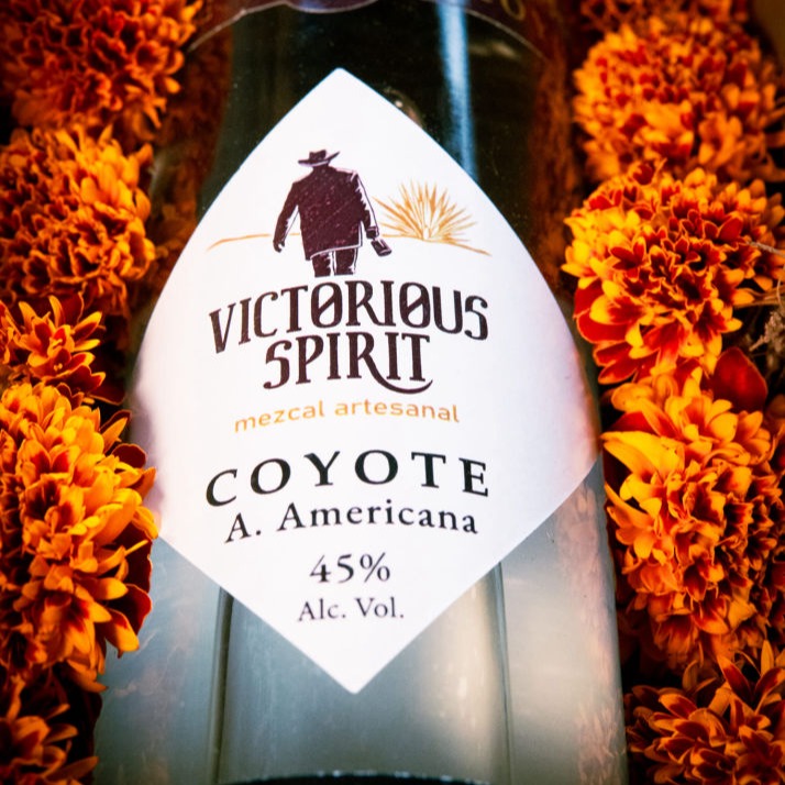 Mezcal Victorious Coyote